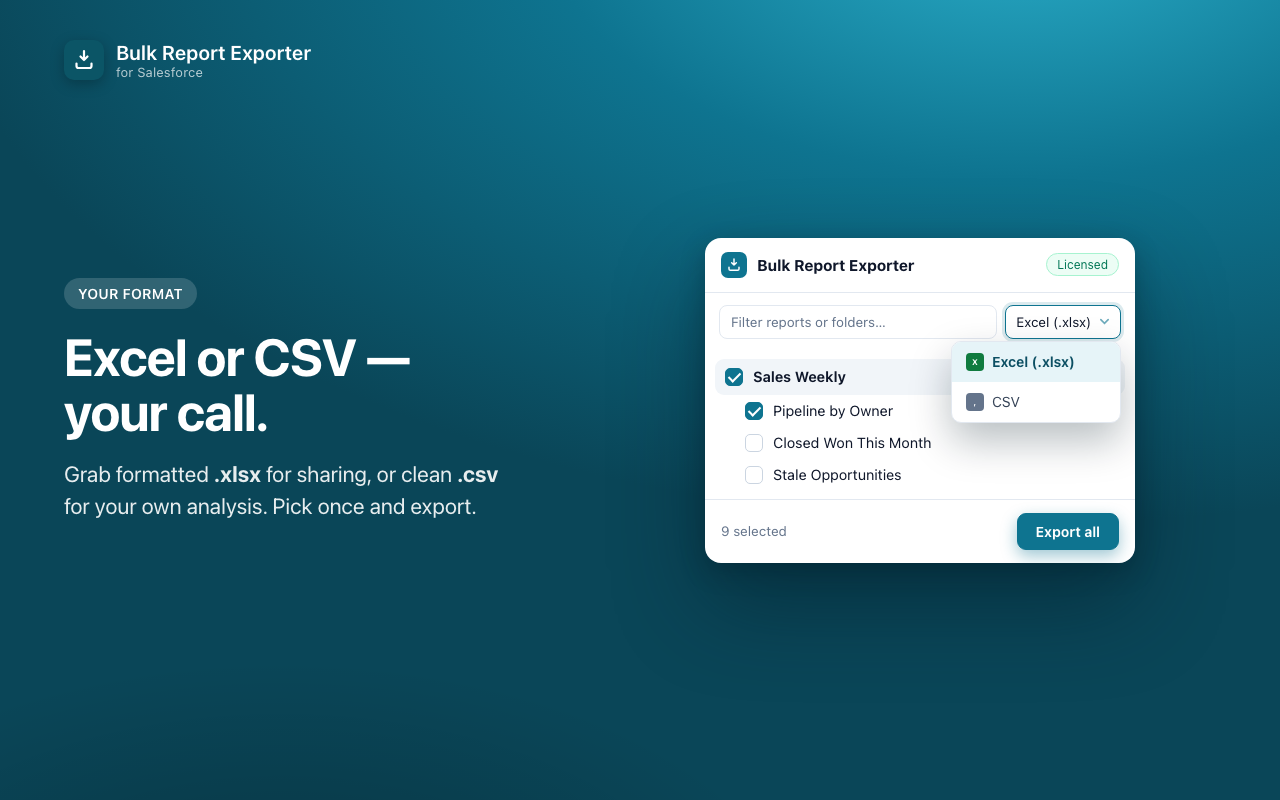 Choosing between Excel and CSV export format